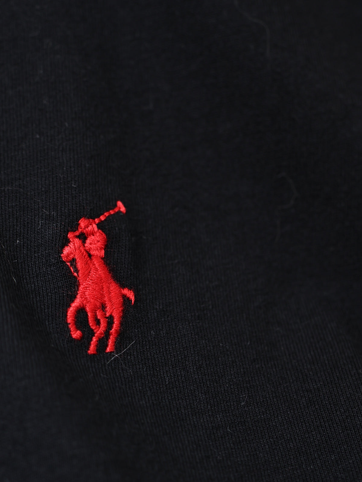 Camisa Manga Longa Polo Ralph Lauren