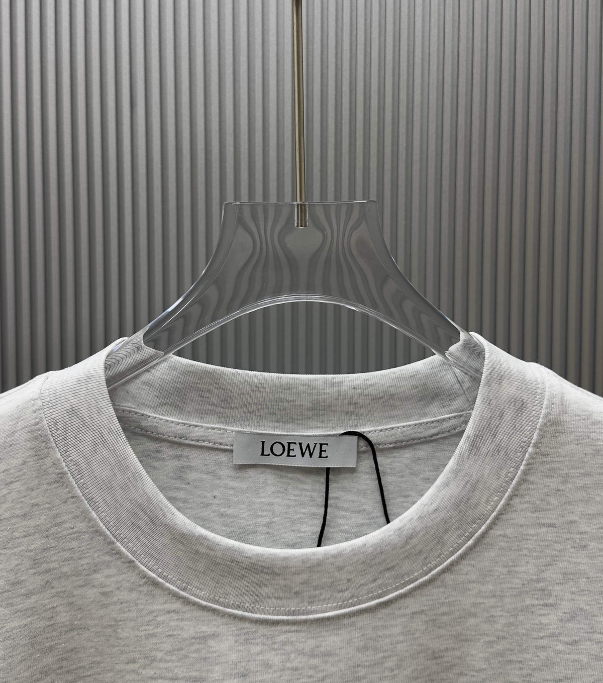 Camiseta LOEWE (Oversized)
