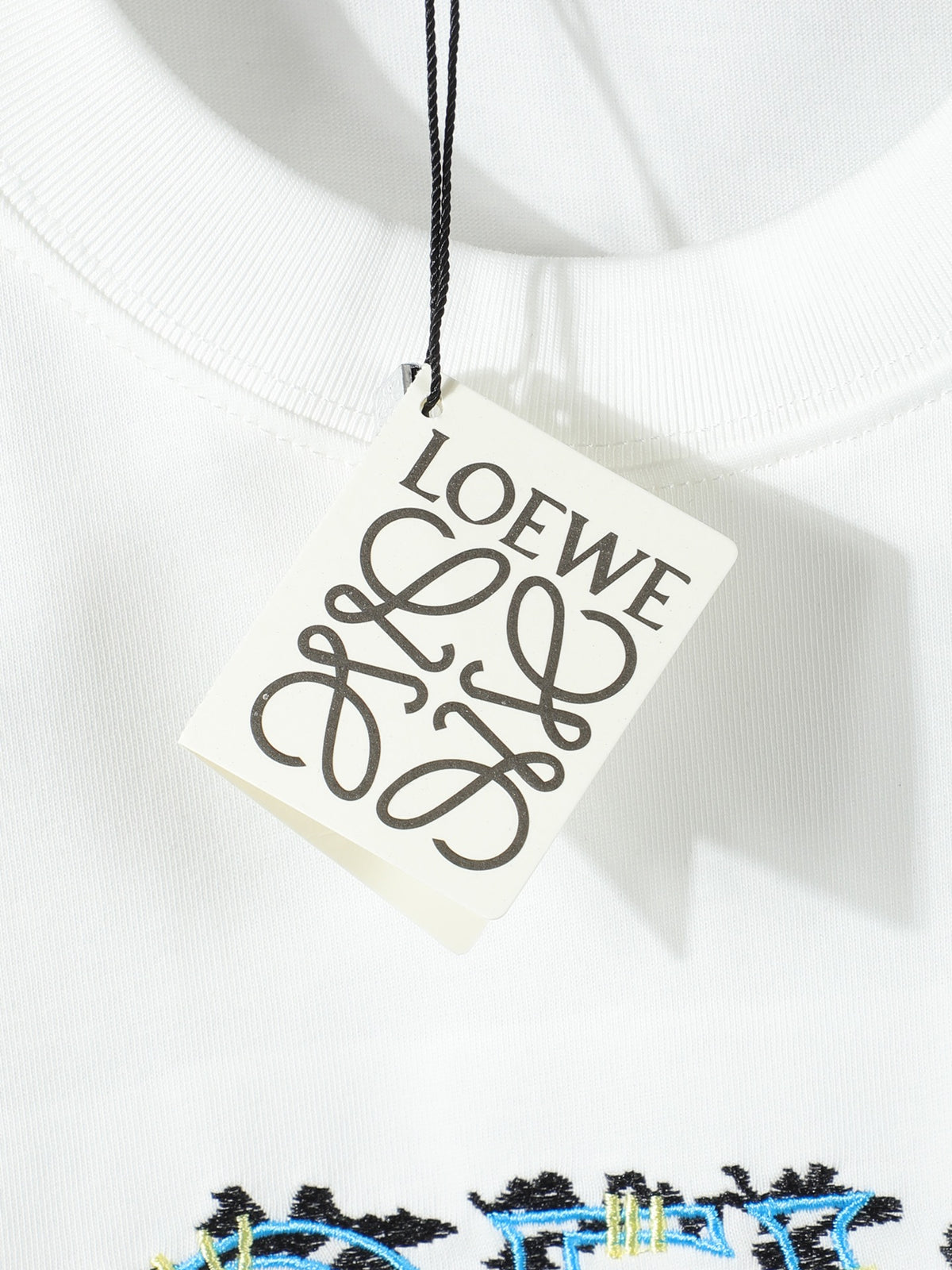 Camiseta LOEWE (Oversized)