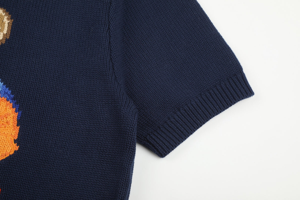 Camisa Suéter Polo Ralph Lauren 'Polo Bear'