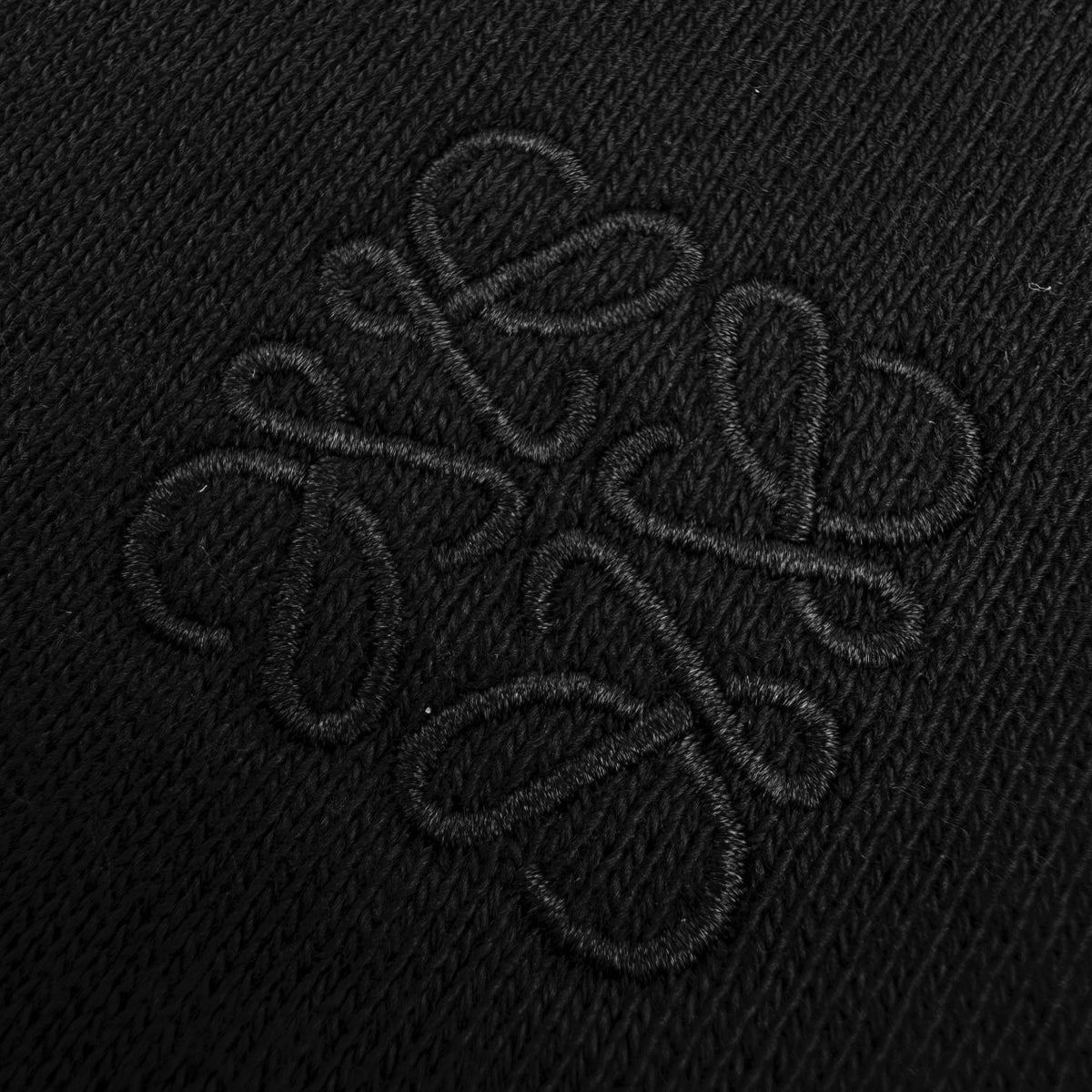 Hoodie LOEWE