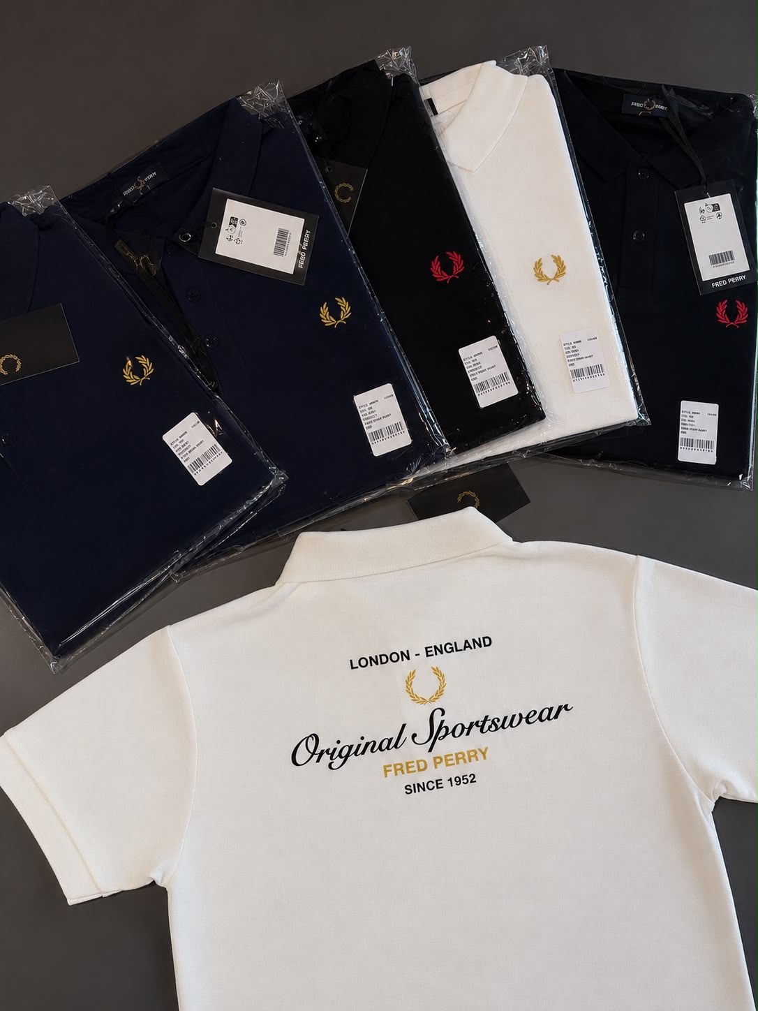 Gola Polo FRED PERRY (Regular Fit)